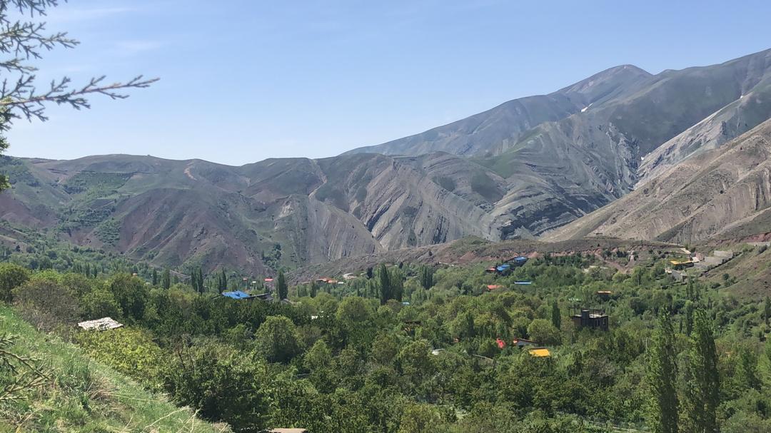 عسل طبیعی Beeiman